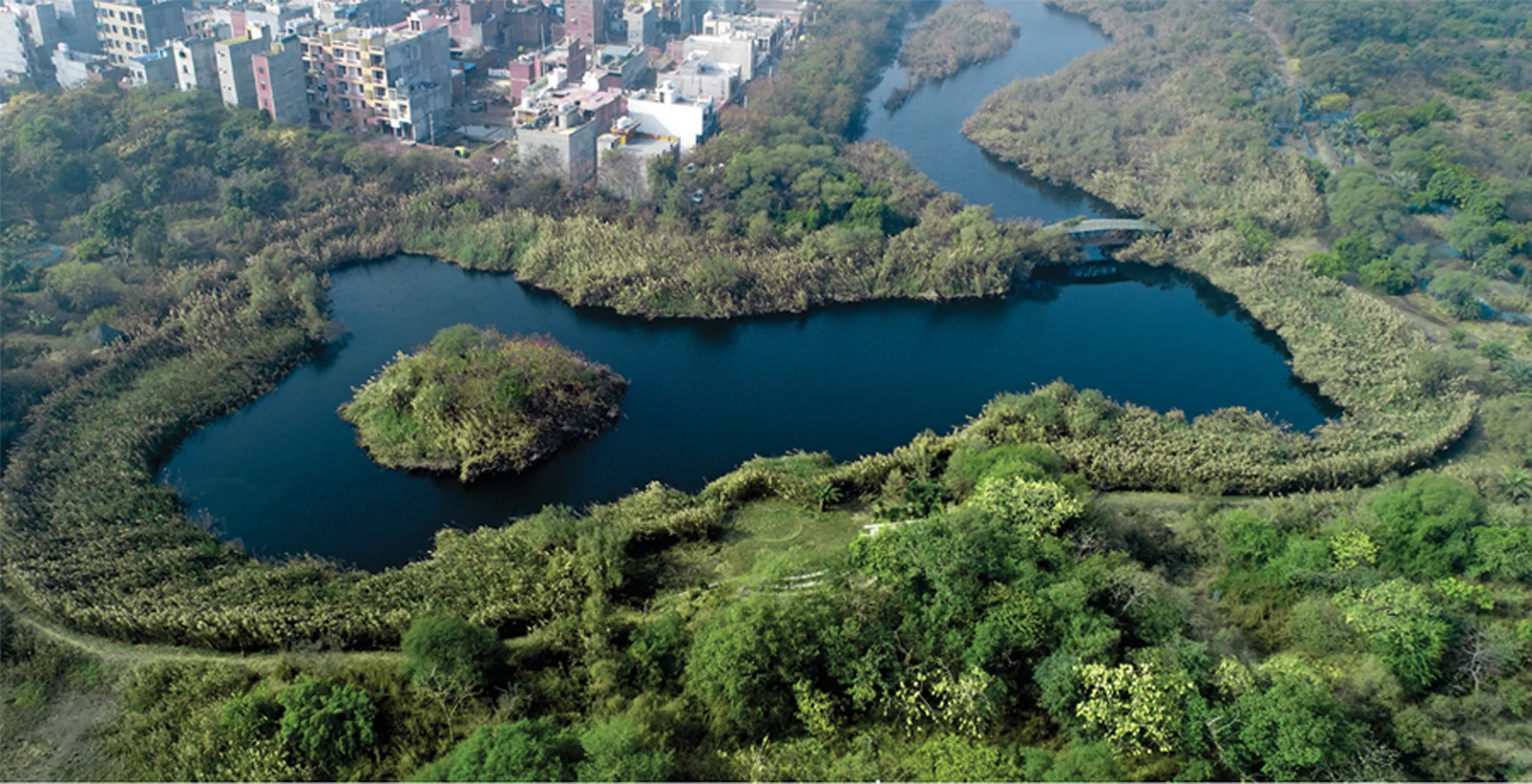 India Opens Its Largest Biodiversity Park in Delhi