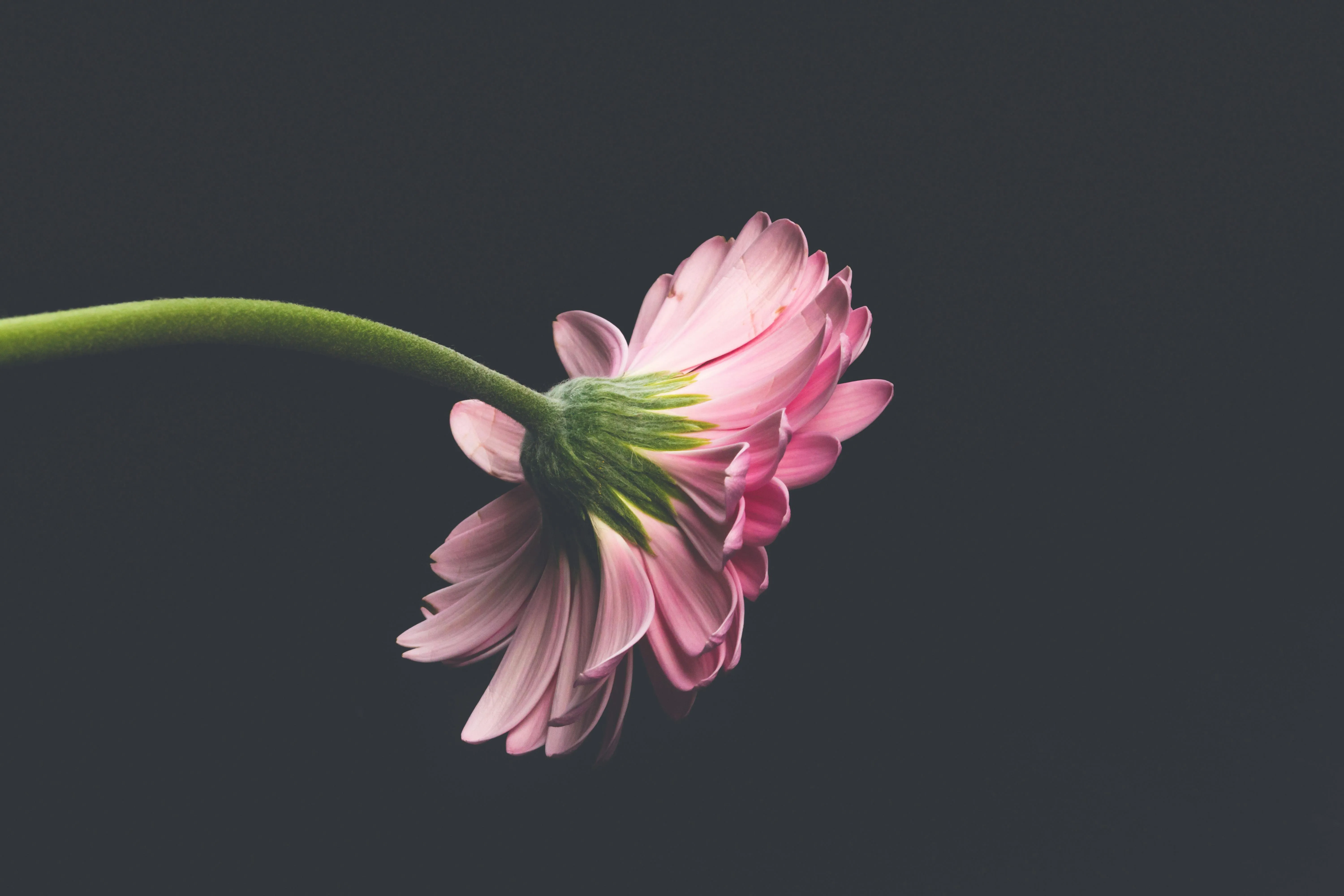 Anxiety Coping Toolkit