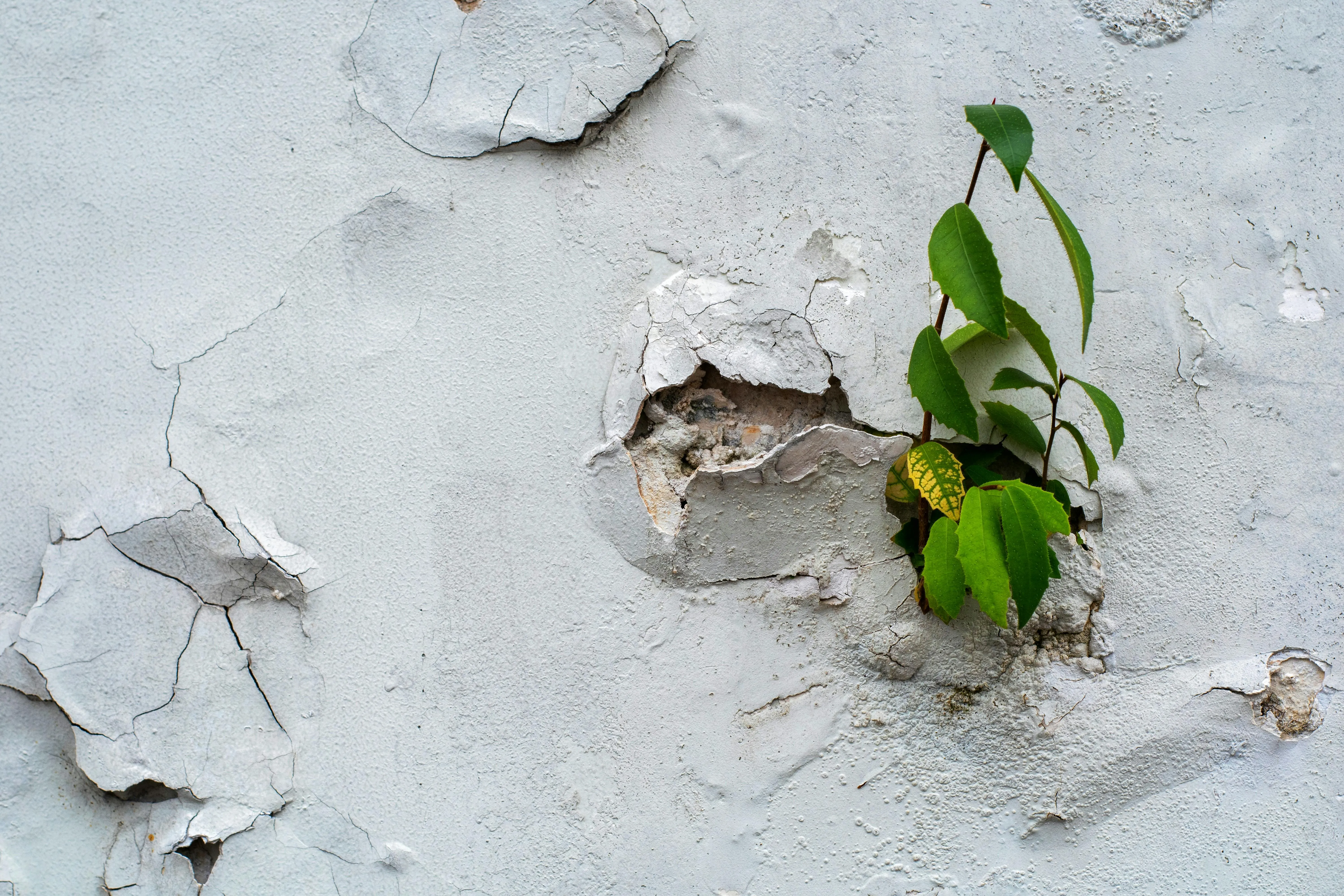 The Science of Growth Through Adversity: What Research Tells Us